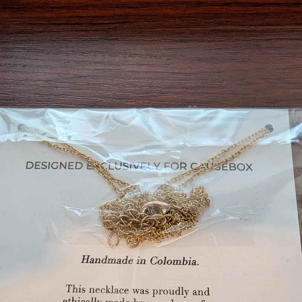 Oster Gold Necklace with Crystal Accents - Picture 5 of 5